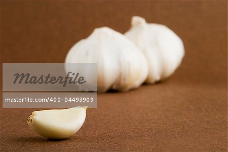 Garlic (Allium sativum) cloves on a dark background