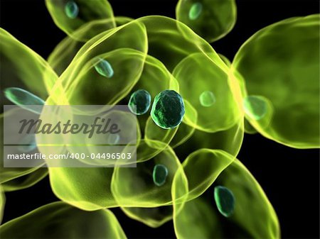 3d rendered illustration of some cells with nucleus