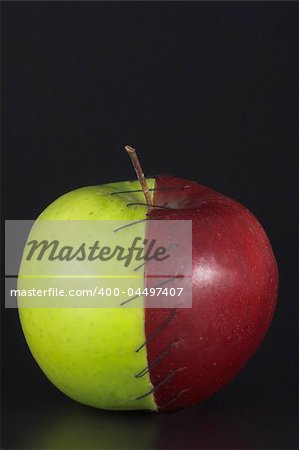 Red and green apple halves stitched together.