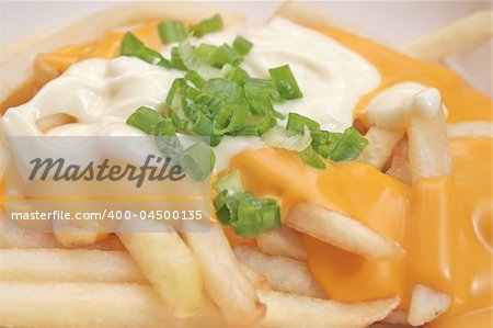 French fries with gooey cheese sauce