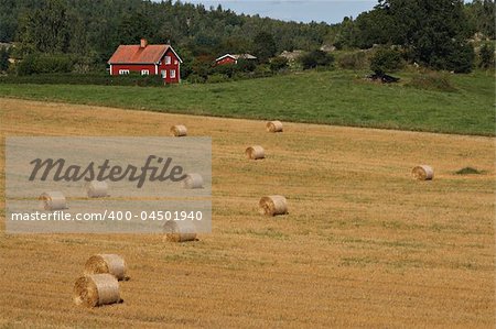 Swedish landscape with typical red house and a field with straw bales