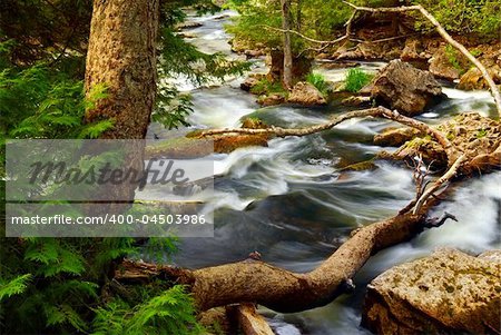 Rocky river rapids in wilderness in Ontario, Canada