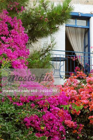 Picture shows a balcony from a traditional Greek house with colorful flowers underneath