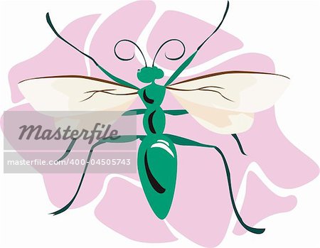 Illustration of a green body coloured bee on a pink surface