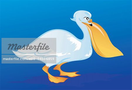 Illustration of a Pelican