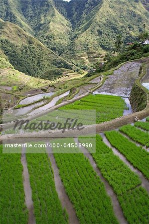 rice terraces in northern luzon the philippines