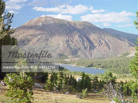 A breath taking view of Inyo National Forest.