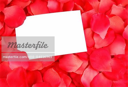 white card on a bed of rose petals with space for text.