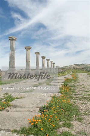 Ville romaine Volubilis partie du patrimoine mondial de l'UNESCO, une destination populaire pour les touristes. Pourrait être grand fond d'écran de n'importe quel ordinateur