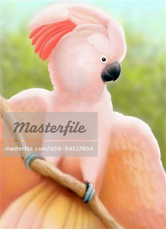 A pastel colored Moluccan cockatoo displaying his feathers in airbrush by artist, Carolyn McFann.