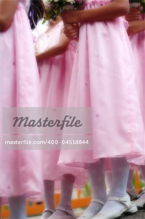 Flower girls in pink dress in dreamy