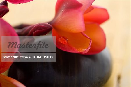 Frangipani flower and polished stone on tropical bamboo mat