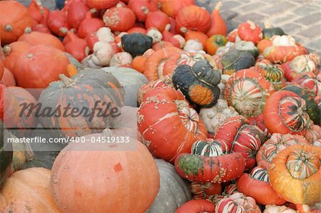 Assortment of fall pumpkins and parsnip