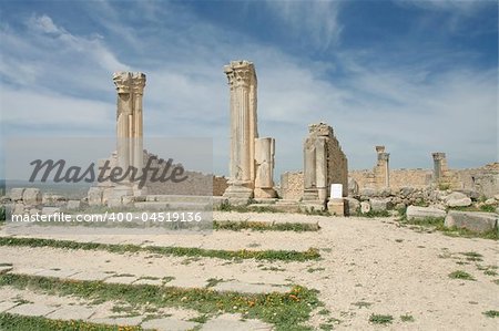Ruins of ancient roman city  Volubilis in Morocco, Africa