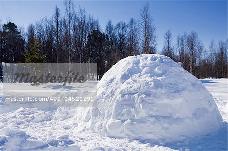 An igloo in a winter landscape