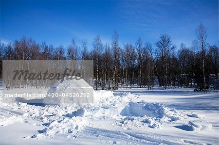 An igloo in a winter landscape