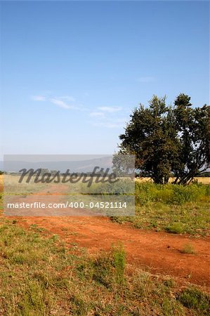 dirt track within entabeni game reserve welgevonden waterberg limpopo province south africa