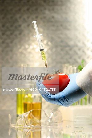 Hand holding tomato with syringe for genetic testing