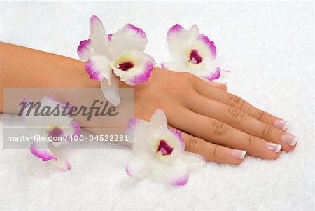 Spa with elegant orchids