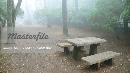 atmospheric place for the rest, wooden bench in misty japanese park, mountain area