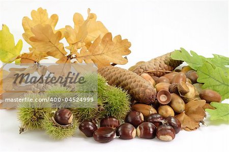 Autumnal decoration of different fruits and leaves on bright background