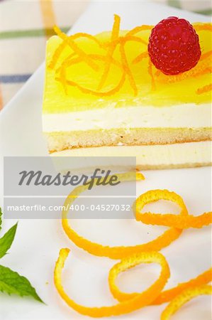 Delicious lemon cake with soft shadow on white dish. Shallow depth of field