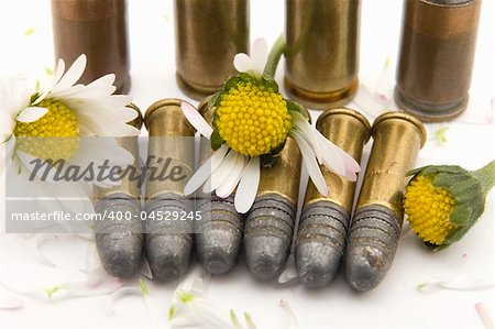 several gun bullets on white background, crushed yellow flowers with white petals