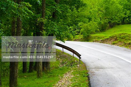 Road in the summer forest