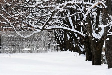 Winter park in Toronto after heavy snowfall