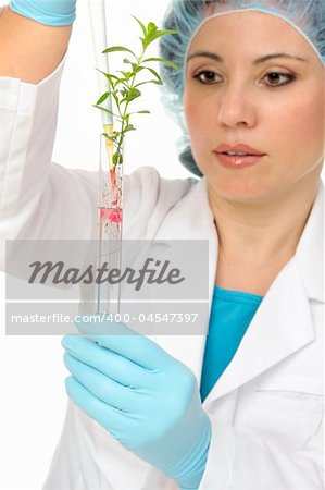 A scientist botanist dispenses  a solution from pipette into a test tube.  Focus to hand and test tube with plant.