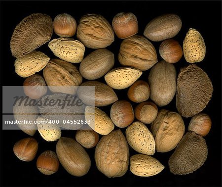 A collection of mix nuts in shells: walnut, hazelnut, pecan, almond, brazil on black background