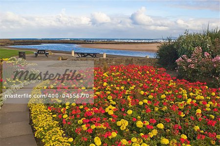 Garden near the East Beach with cloudy sky in Lossiemouth, Scotland Garden near the East Beach with cloudy sky in Lossiemouth, Scotland