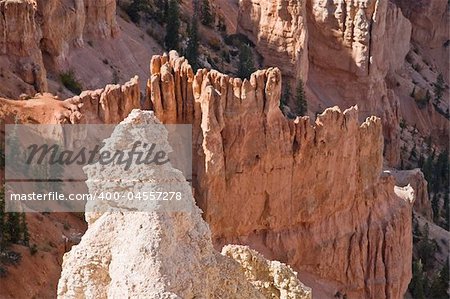 Black Birch Canyon, Bryce Canyon National Park in Utah, USA