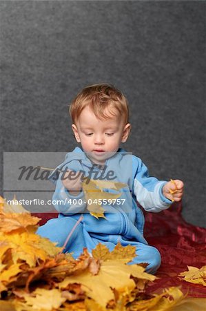 Small kid in blue suit plays with autumn leafs