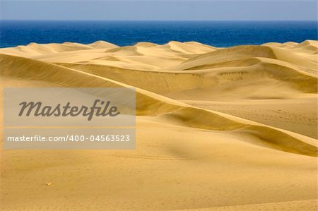 Landscape with sand dunes and the ocean in the bagground.