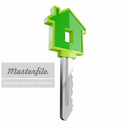 isolated green eco house key