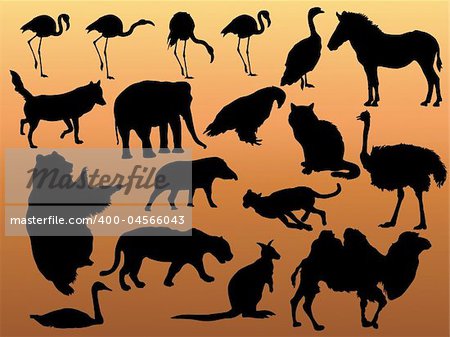 Vector black silhouette of animals.