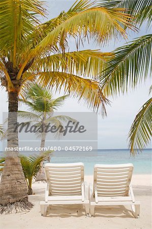Really nice tropical beach with empty loungers