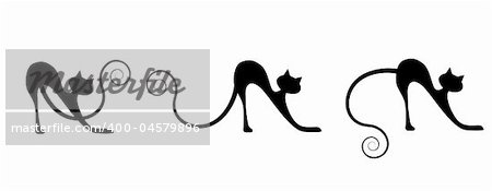 Black cat silhouette for your design