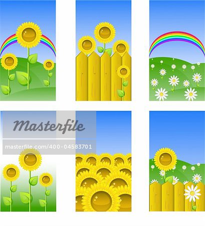 Set of elements for design, backgrounds with sunflowers and chamomile, vector illustrations, eps 8 format
