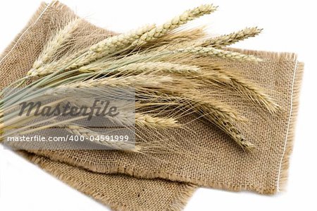 Bundle of wheat ears isolated on cereal background