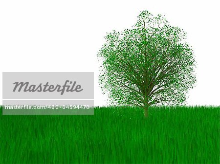3d render of green tree and grass. Isolated on white background.