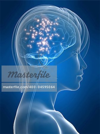 3d rendered anatomy illustration of a feamle head shape with active brain