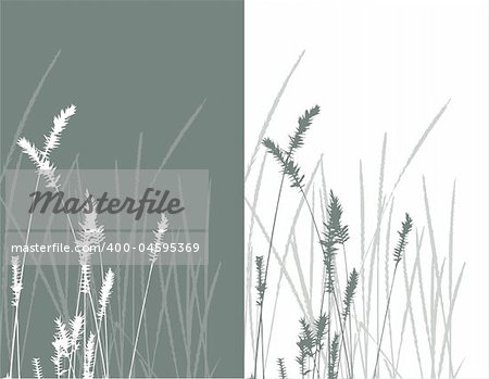 real grass  silhouette / vector /  2 colors