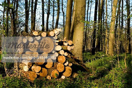 Round old timbers ready to go to in processing