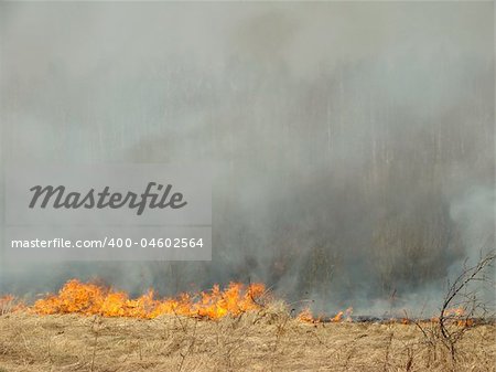 burning dry grass at the spring field