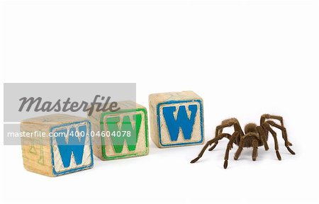 Tarantula with blocks spelling WWW for World Wide Web