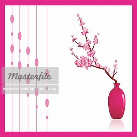 Cherry tree blossoms, a beautiful spring flower in a pink against white background. Decorative ornament to the left can be turned off to make copy space.