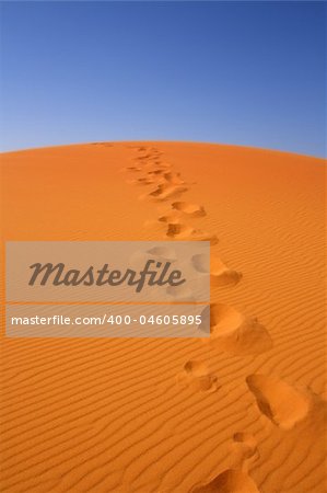 walking on Sahara, Erg Chebbi, Morocco , focus set in foreground