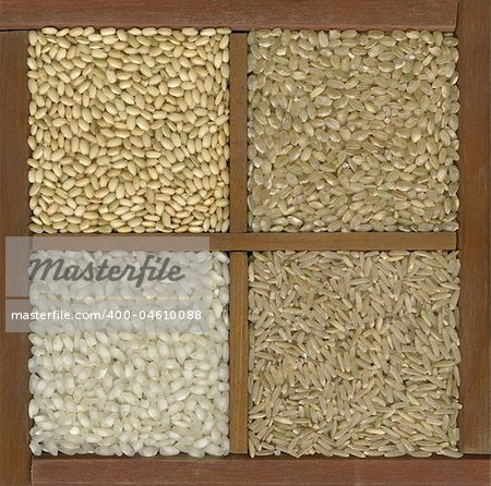four rice grains in a primitive wooden box or drawer with dividers - left bottom white arborio (risotto) and, clockwise, three brown varieties: sweet (sushi), short, long grain